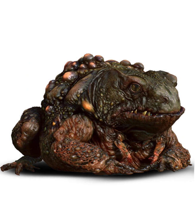 The Toad Prince