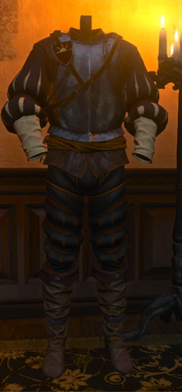 Geralt wearing Toussaint Color Guardsman's armor