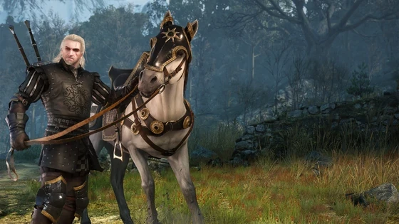 Geralt wearing Nilfgaardian Armor